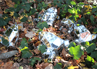 卒業制作応援プロジェクト2025